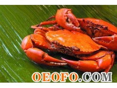 東港市黃海水產(chǎn)品批發(fā)市場利源海鮮批發(fā)商行 供應(yīng)優(yōu)質(zhì)鮮活梭子蟹與飛蟹，物美價(jià)廉