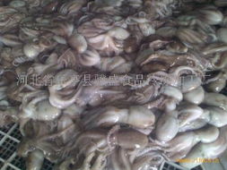 食品與日用品批發(fā)市場的現(xiàn)狀與發(fā)展趨勢(shì)