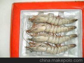 優(yōu)質(zhì)鮮活龍蝦與水產(chǎn)批發(fā)，廠家直銷保障品質(zhì)