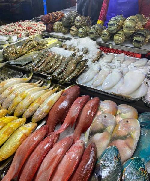 免租半年，搶占先機！博羅水西農貿綜合批發市場水產海鮮一級批發平臺盛裝啟幕