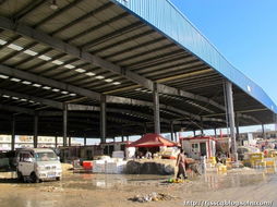 春節前的水產品農貿批發市場 年味、忙碌與希望的匯聚地